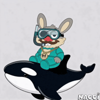 Animal Kingdom Whale GIF