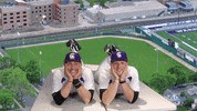 Baseball Warriors GIF by WinonaStateATH
