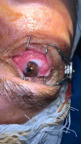 joseherrera56 giphyupload GIF