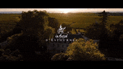 France Wine GIF by Casol