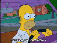 homer simpson episode 10 GIF