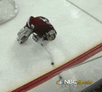 nhl GIF by SB Nation
