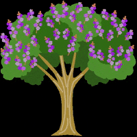 cynthiabauzonarre flower flowers tree philippines GIF