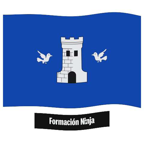 Comunidad Valenciana Flag Sticker by Formación Ninja