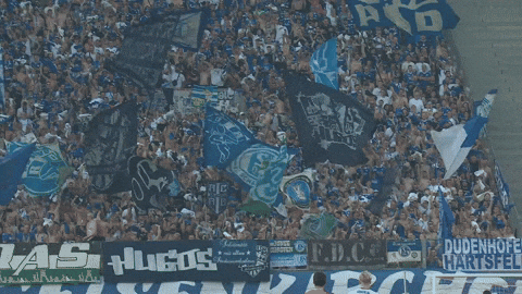 Football Soccer GIF by FC Schalke 04
