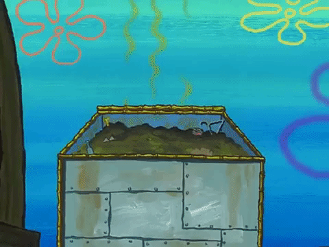 season 3 missing identity GIF by SpongeBob SquarePants