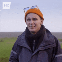 Food Lol GIF by S4C
