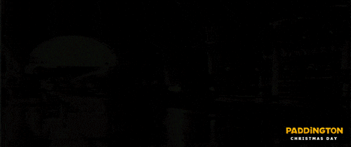 paddington bear animation GIF by The Weinstein Company