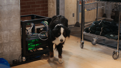 season 5 comedy GIF by Silicon Valley