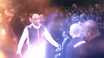 anderson silva sport GIF by UFC