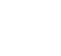 Bird Flying Sticker