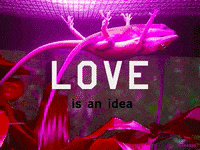 Love You Dream GIF by PEEKASSO