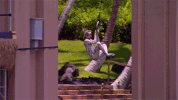 paradise run reality game show GIF by Nickelodeon
