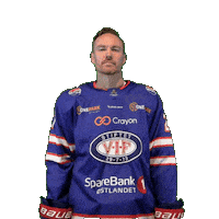 Goal Yes Sticker by VIF Hockey