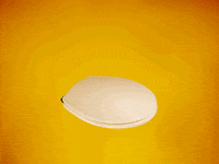 toilet germs GIF by Coral Garvey
