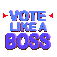 Voting Election 2020 Sticker by INTO ACTION