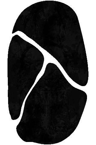 Litho23 Sticker by Camprrr