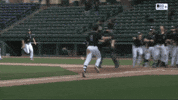 Walk Off Baseball GIF by Northwestern Athletics