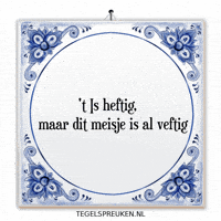 Humor Nl GIF by Tegelspreuken.nl