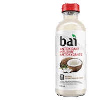 Coconut Sticker by Bai Canada