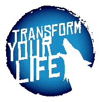 Work Hard The Pack Sticker by TransformPT