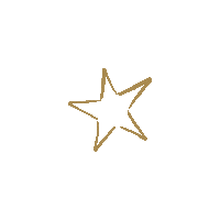 Christmas Star Sticker by H&J Smith