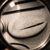 Fun Party GIF by SALT