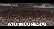 indonesia supporter GIF by PSSI