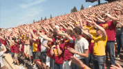cyclonestv fans waving GIF