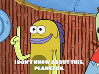 season 4 GIF by SpongeBob SquarePants