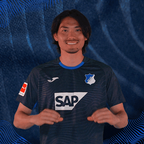 Sport Bundesliga GIF by TSG Hoffenheim