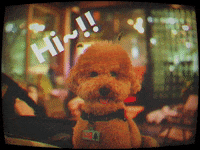 Namu GIF