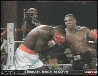 Promountings  GIF