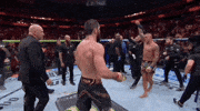 Mixed Martial Arts Sport GIF by UFC