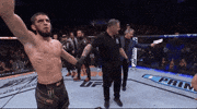 Mixed Martial Arts Sport GIF by UFC
