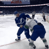 Fight Nhl GIF