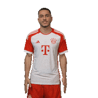 Happy Football Sticker by FC Bayern Munich