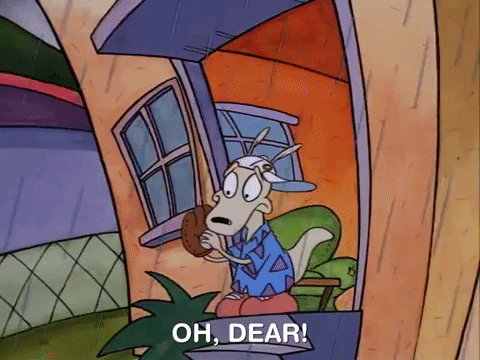 rockos modern life nicksplat GIF