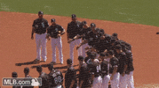 cws GIF by MLB