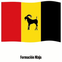 Flag Spain GIF by Formación Ninja
