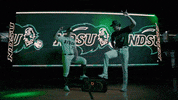 Ndsu Baseball GIF by NDSU Athletics