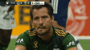 Portland Timbers Shrug GIF by Timbers