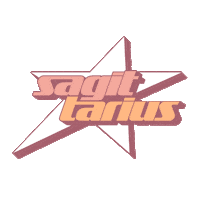 Star Pp Sticker by Princess Polly Boutique