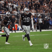 Happy Las Vegas Raiders GIF by NFL