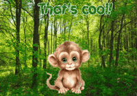 Monkey Expressions GIF