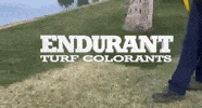 Green Grass GIF by ENDURANT TURF PAINT