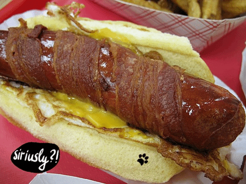 sas___ giphygifmaker giphyattribution GIF