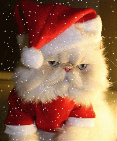 snow GIF
