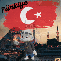 Turkey GIF by Zhot