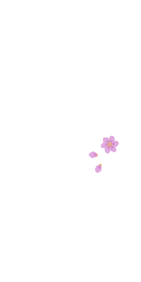 Flower Bunga Sticker